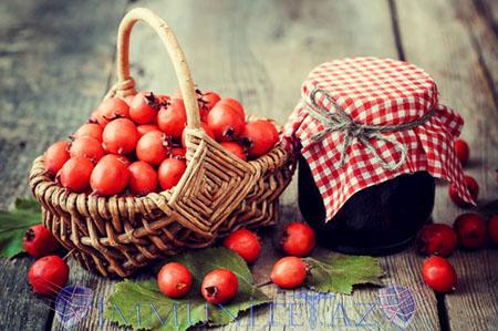 заготовка плодов боярышника