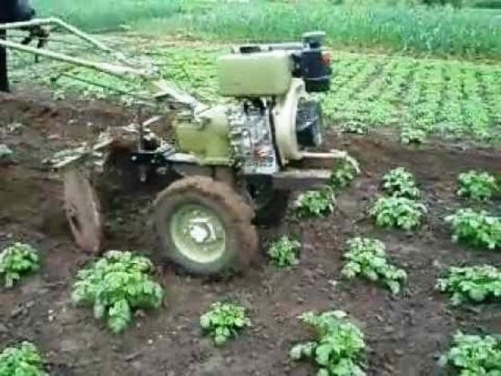 прополка и окучивание