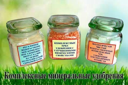 самые лучшие минеральные удобрения