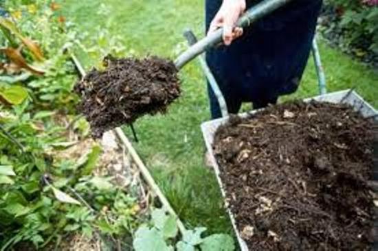 органические подкормки для малины