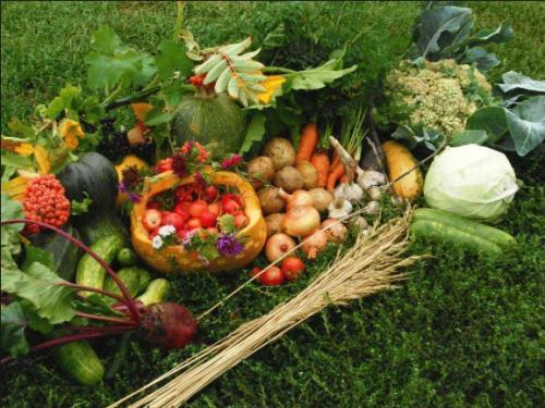 повышение урожайности