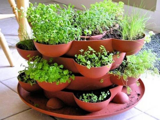 Как выращивать зелень в домашних условиях зимой без грунта?
