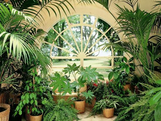 освещение зимнего сада