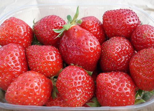 Садовая земляника