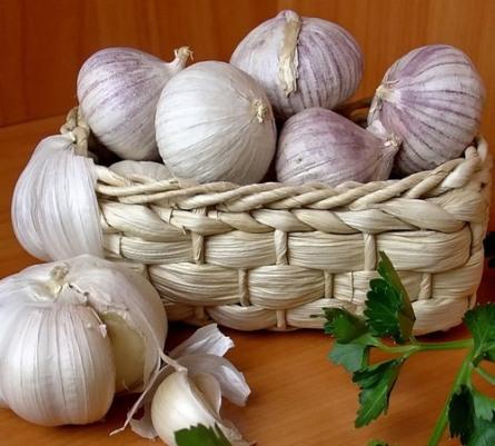 Как хранит чеснок в домашних условиях