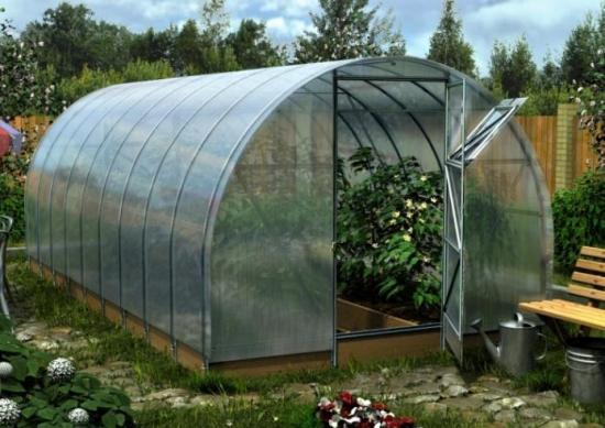 Теплица на дачном участке летом