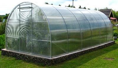 Теплица на дачном участке