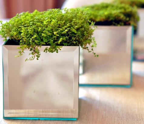 Горшки для растений