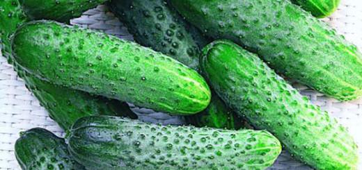 Огурец