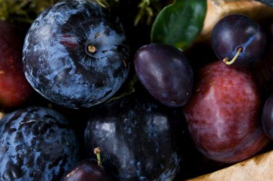 Плоды сливы