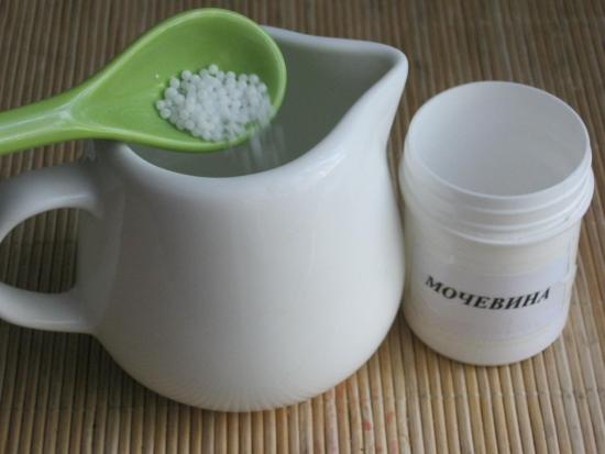 Карамбид (мочевина)