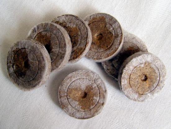 Торфоперегнойные таблетки