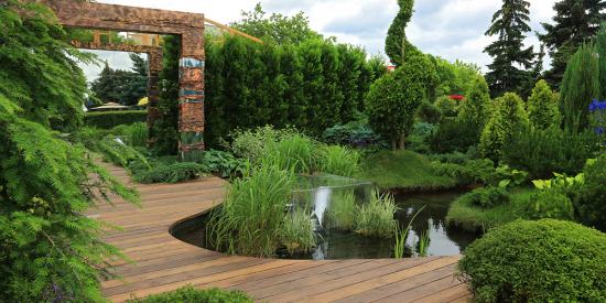 Дизайн садового участка