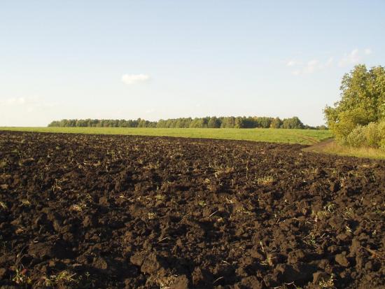 Почва, в которой находятся полезные бактерии