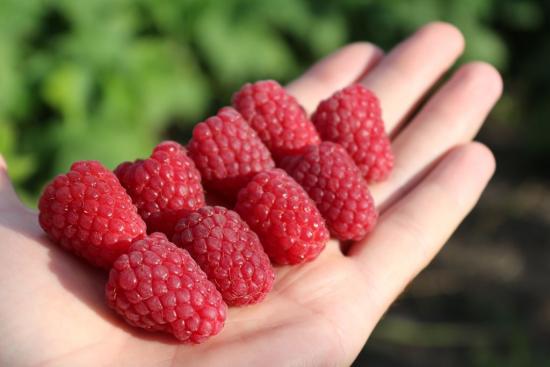 Каскад Делайт