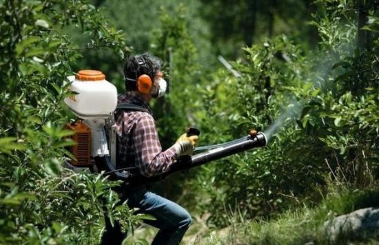 Опрыскиватель бензиновый