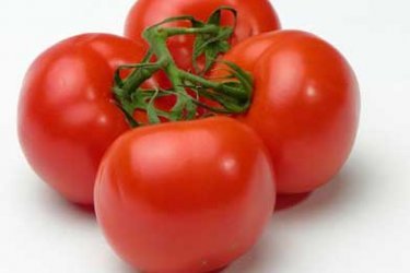 Как выбирать томаты для открытого грунта