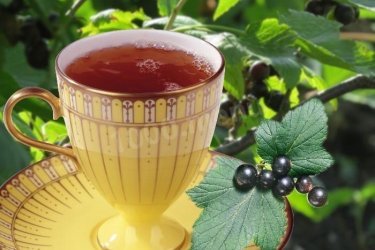 чай из смородиновых листьев польза и вред