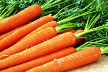 Морковь домашняя