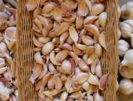 Чеснок яровой