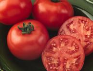 томат ляна 2