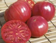 Лучшие гибридные сорта - томат Торбей F1