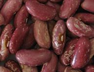 виды фасоли