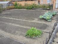 Окучивание растений