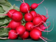 редис