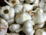 Урожай чеснока