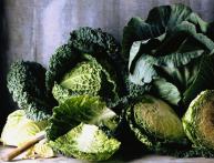 Савойская капуста на фото