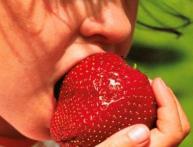 Гигантелла