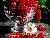 красная смородина