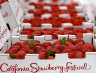 фестиваль клубники