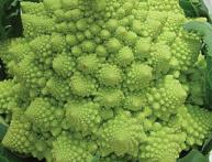 брокколи конусом