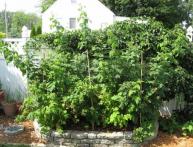 место посадки