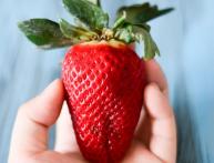 Гигантелла