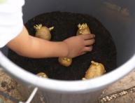 частота посадки