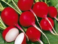 редис
