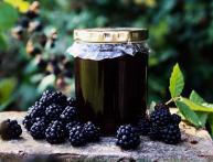 выращивание ежевики