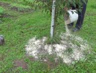 доломитовая мука