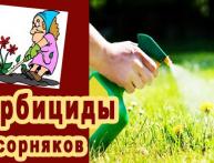 диален супер гербицид инструкция