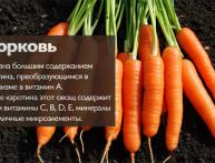 морковь полезные свойства