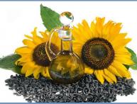 Семена Сенгента