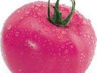 томат Малиновый звон f1