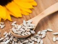 чем полезны семечки подсолнуха жаренные