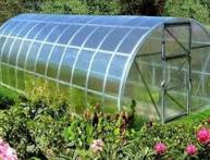 теплица из поликарбоната