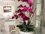 можно ли садить орхидею в непрозрачный горшок