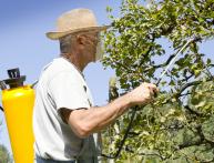 препарат хорус