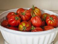 спелые томаты